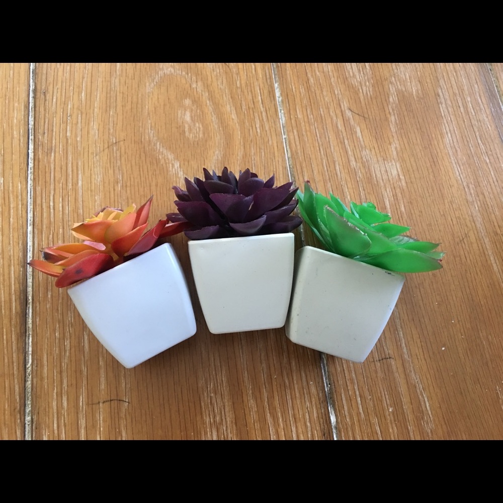 $5 SALE ⛄️ 3 faux succulents - Picture 3 of 5